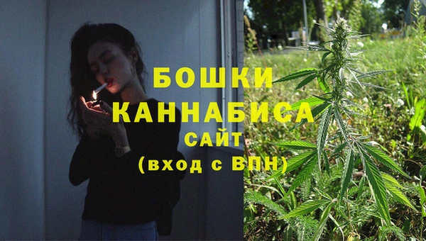 дживик Балахна