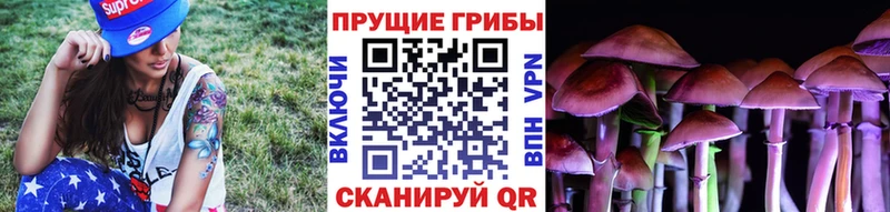 Галлюциногенные грибы MAGIC MUSHROOMS  мориарти какой сайт  Печора 